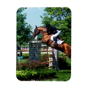 Ímã grande do prêmio do cavalo de Prix