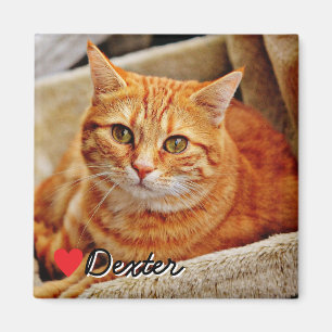 Imã Grande Foto de Animal de Estimação Personalizada