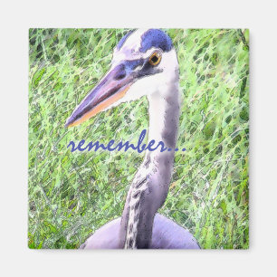 Imã Grande lembrete azul