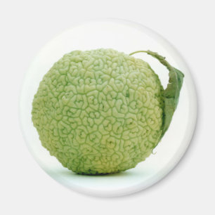 Imã Grande maçã verde