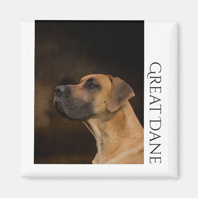 Imã Grande Magnet Dane (Frente)