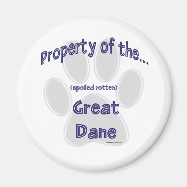 Imã Grande Propriedade Dane - Magnet (Frente)