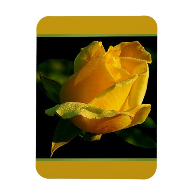 Ímã Grande Rosa Amarela  (Vertical)