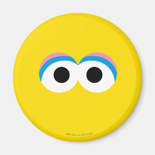 Imã Grande Rosto De Pássaro