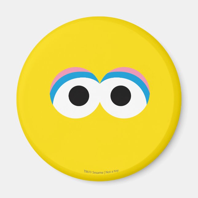 Imã Grande Rosto De Pássaro (Frente)