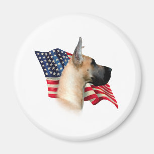Imã Grande Sinalizador Dane