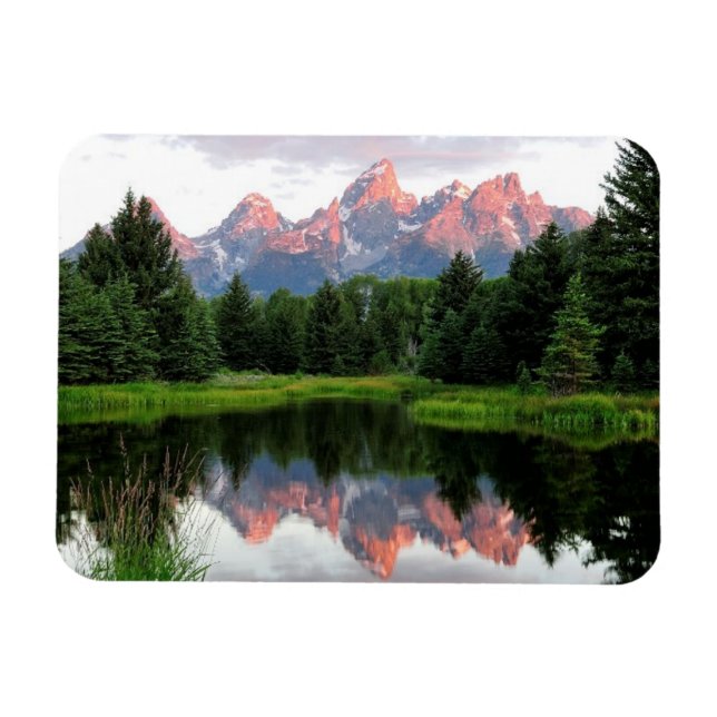 Ímã Grande Teton Reflexões Sobre O Pond Do Beaver (Horizontal)
