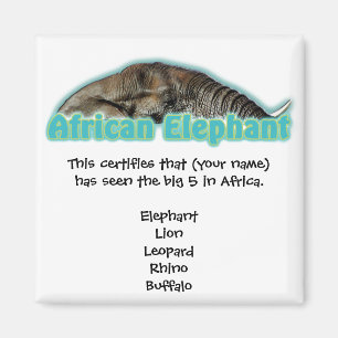 Imã Grandes 5 magnatas africanos do safari da vida sel