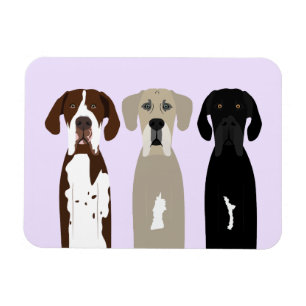 Ímã Grandes cães de rua