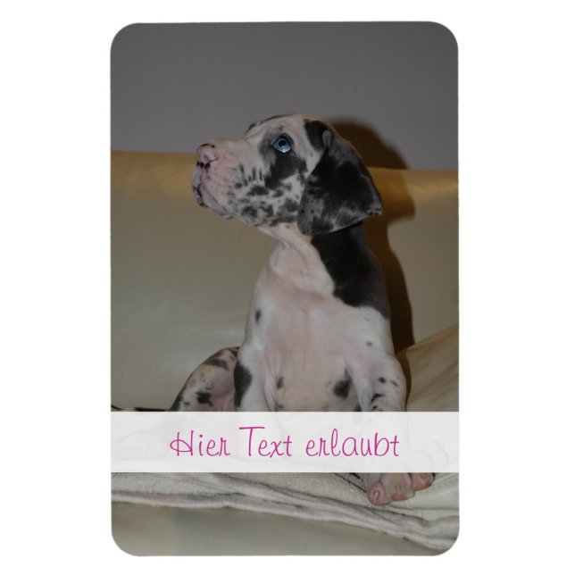 Ímã Grandes dinamarqueses (Vertical)