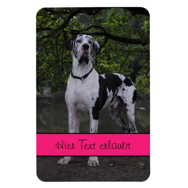 Ímã Grandes dinamarqueses (Vertical)