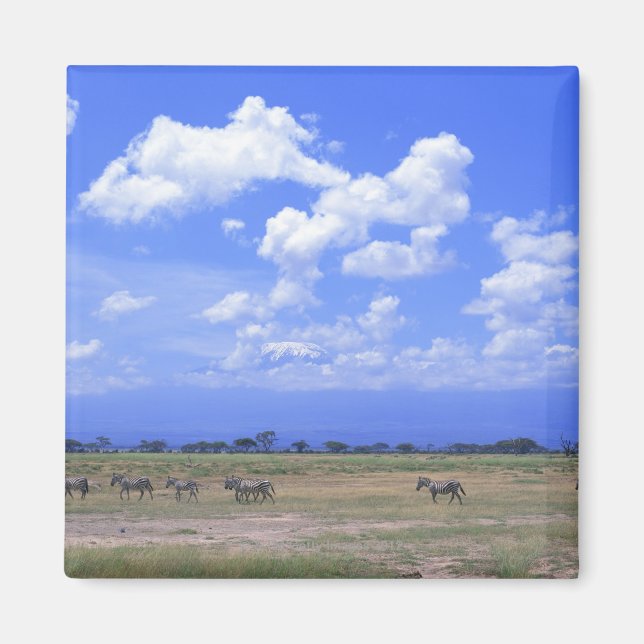 Imã Grassy Plain (Frente)