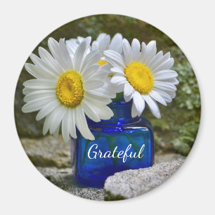 Imã Gratidão Daisy