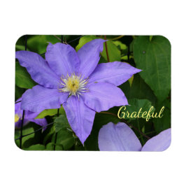 Ímã Gratidão De Purple Clematis