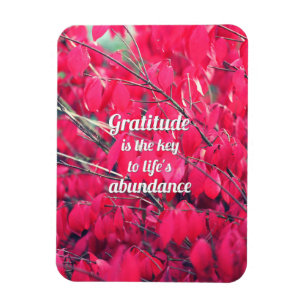 Ímã Gratitude