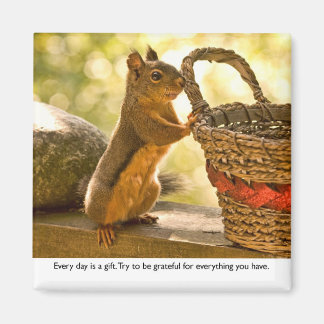Imã Gratitude Squirrel