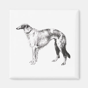 Imã Gravura a água-forte de Martynow do Borzoi