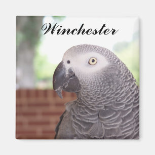 Imã GRAY-MAGNET AFRICANO Winchester