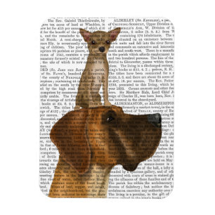 Ímã Great Dane e Chihuahua