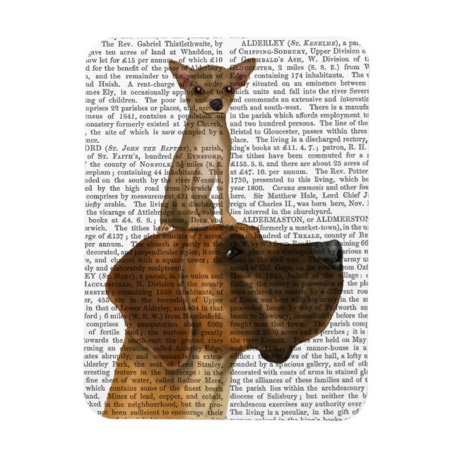 Ímã Great Dane e Chihuahua (Vertical)