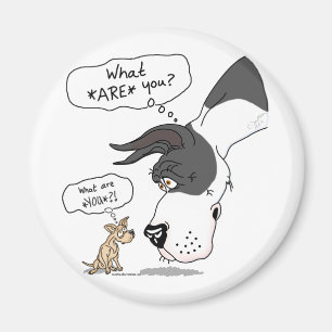 Imã Great dane & envoltório da chihuahua