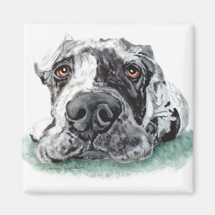 Imã Great dane gravou acima de Merle