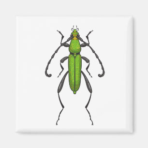 Imã Green beetle