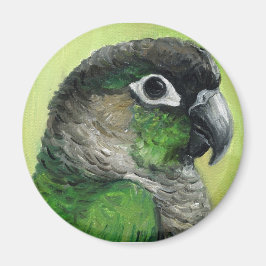 Imã "Green Cheked Conure", Imagem de Arte de Pássaro