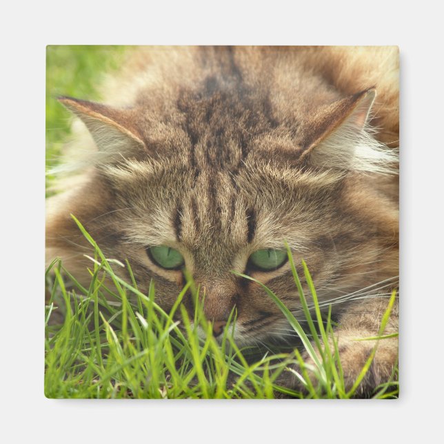 Imã Green Eyed Hunter (Frente)