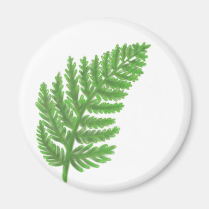 Imã Green Fern