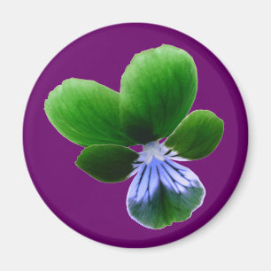 Imã Green Pansy Magnet