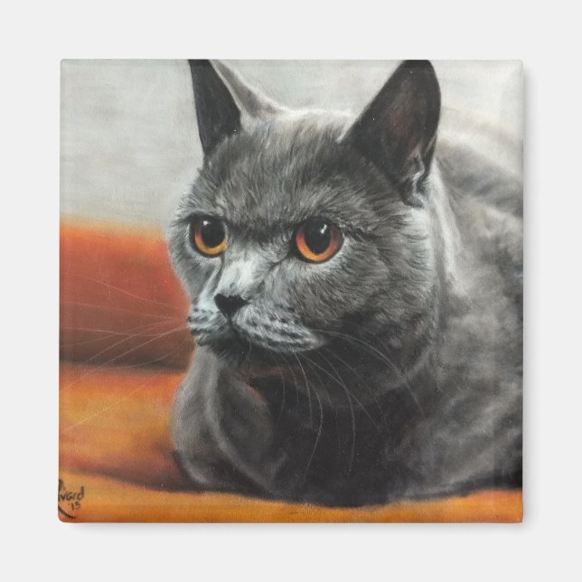 Imã Grey cat resting with orange eyes (Frente)