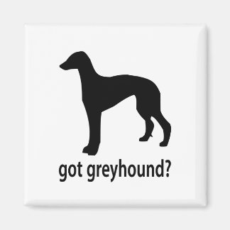 Imã Greyhound