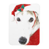 Greyhound Christmas Magnet - Para a caridade