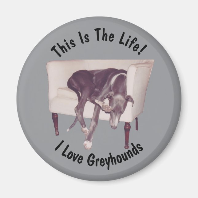 Imã Greyhound Esta É A Vida  (Frente)