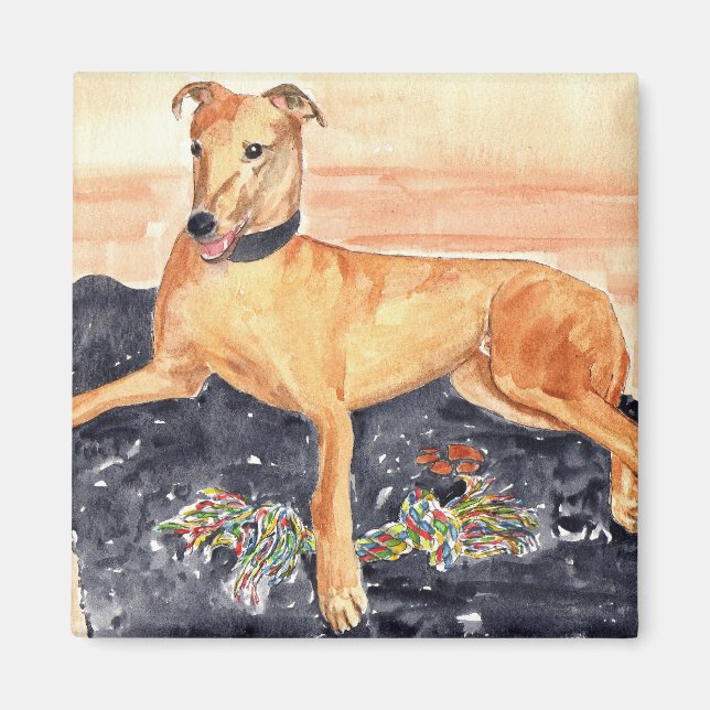 Imã Greyhound Magnet (Frente)