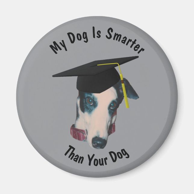 Imã Greyhound My Dog Is Smarter Than Yours Funny (Frente)