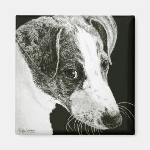 Imã Greyhound Pup Magnet - "Paddy"