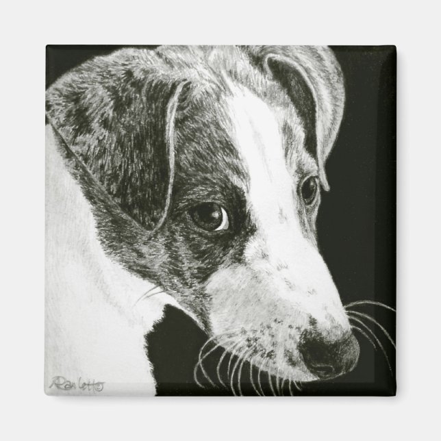 Imã Greyhound Pup Magnet - "Paddy" (Frente)