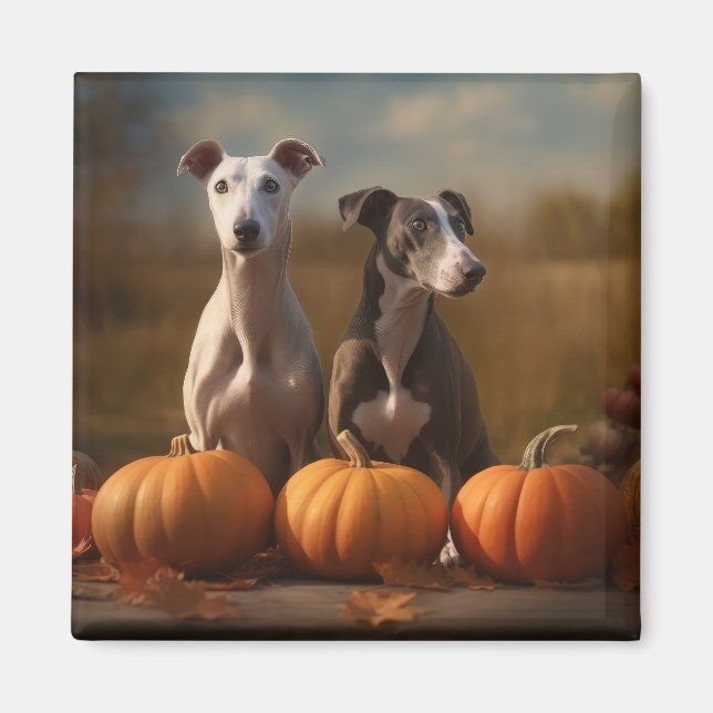 Imã Greyhound Puppy Autumn Delight Pumpkin (Frente)