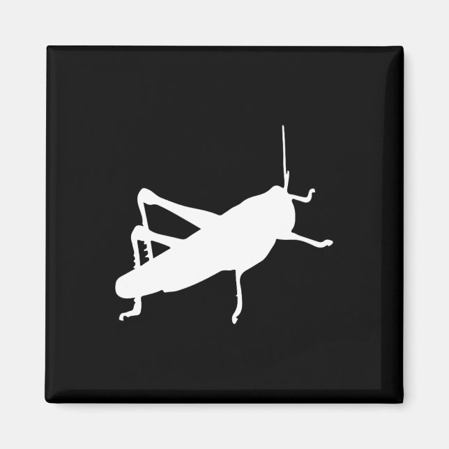 Imã Grhopper Grilo - Inseto Bug Fofo Engraçado  (Frente)