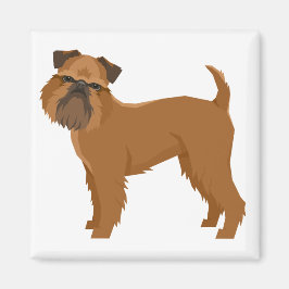 Imã Griffon Bruxelois