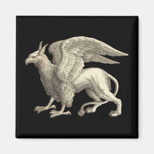 Imã Grifo medieval do renascimento