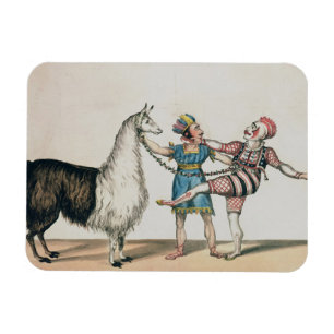 Ímã Grimaldi e a alpaca, na pantomima popular