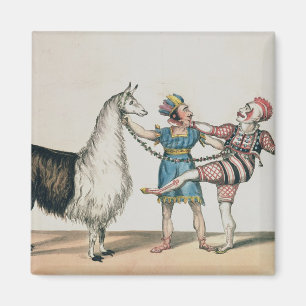 Imã Grimaldi e a alpaca, na pantomima popular