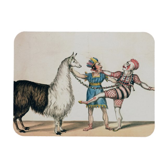 Ímã Grimaldi e Alpaca, na Pantomima Popular (Horizontal)