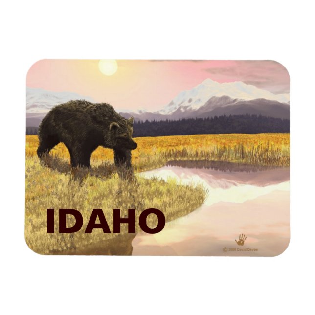 Ímã Grizzly Pond (Horizontal)