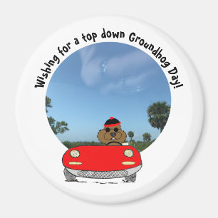 Imã Groundhog em Cute Vermelho Convertível
