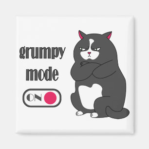 Imã Grumpy mode on funny fat cat 
