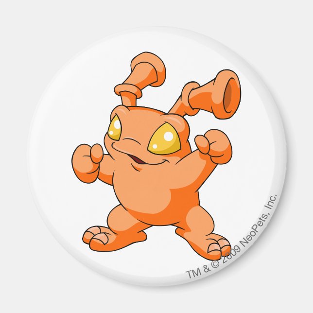 Imã Grundo Orange (Frente)